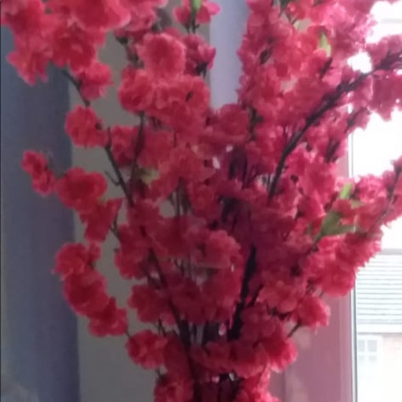 Meet your Posher, Vee - Picture 1 of 1